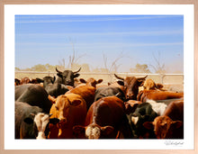 Load image into Gallery viewer, Cleanskins