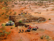 Load image into Gallery viewer, Yarding breeders in the high country of Tom Price