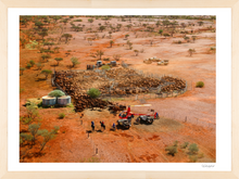 Load image into Gallery viewer, Yarding breeders in the high country of Tom Price