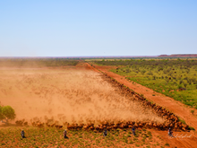 Load image into Gallery viewer, Slow Droving