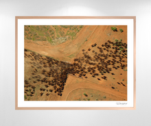 Load image into Gallery viewer, Filing Through