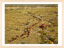 Load image into Gallery viewer, Single File Please