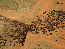 Load image into Gallery viewer, Filing Through