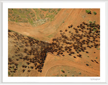 Load image into Gallery viewer, Filing Through