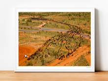 Load image into Gallery viewer, Johnny Rowe