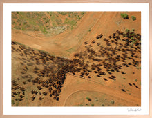 Load image into Gallery viewer, Filing Through