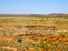 Load image into Gallery viewer, New Pastures