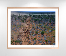 Load image into Gallery viewer, Blue Bush