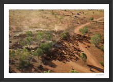 Load image into Gallery viewer, Samfred Yards
