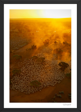 Load image into Gallery viewer, Depot Yards

