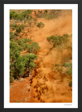 Load image into Gallery viewer, West Carawine

