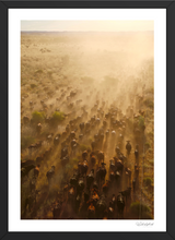 Load image into Gallery viewer, Long Walk Home
