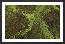 Load image into Gallery viewer, Lillypads
