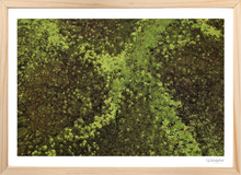 Load image into Gallery viewer, Lillypads
