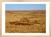 Load image into Gallery viewer, Hillside Briggsy
