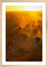 Load image into Gallery viewer, Depot Yards
