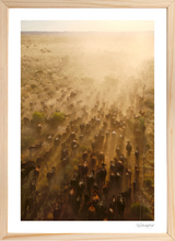 Load image into Gallery viewer, Long Walk Home
