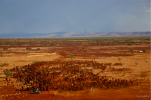 Load image into Gallery viewer, Mulga Beef
