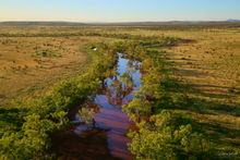Load image into Gallery viewer, Hammersly Billabong
