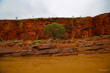 Load image into Gallery viewer, O'Donnell Gorge
