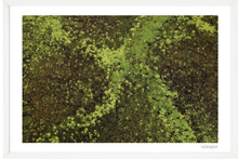 Load image into Gallery viewer, Lillypads
