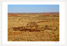 Load image into Gallery viewer, Hillside Briggsy
