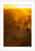 Load image into Gallery viewer, Depot Yards
