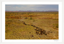 Load image into Gallery viewer, Spinifex Angus
