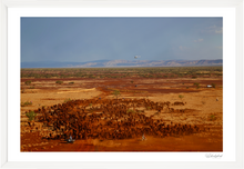 Load image into Gallery viewer, Mulga Beef
