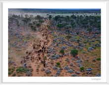 Load image into Gallery viewer, Blue Bush
