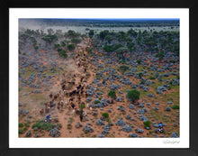 Load image into Gallery viewer, Blue Bush
