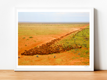 Load image into Gallery viewer, Block the lead of 2500 heifers
