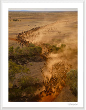 Load image into Gallery viewer, Pilbaddy Creek
