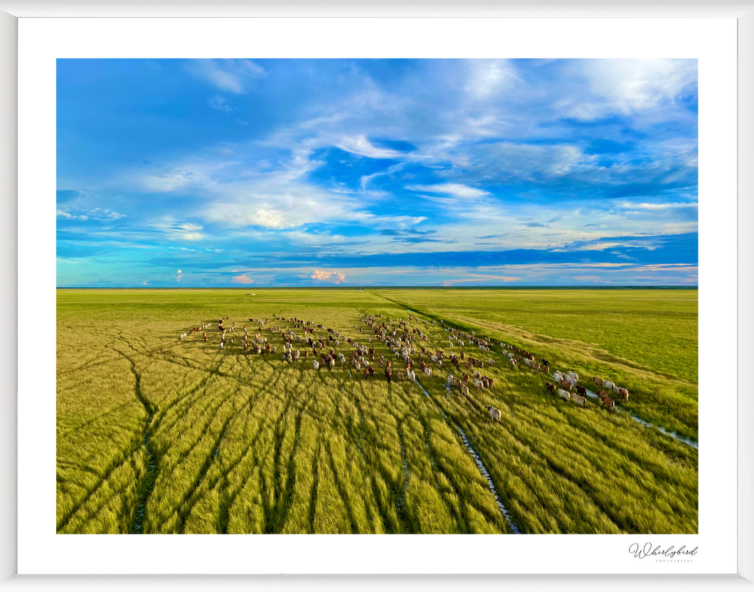 Flood Plain