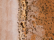 Load image into Gallery viewer, Desert Meets Salt Lake

