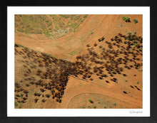Load image into Gallery viewer, Filing Through
